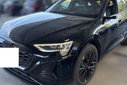 Audi Q8 e-tron 73.000 km 45.450 &euro; Steinbach-Hallenberg OT Herges-Hallenberg 98587