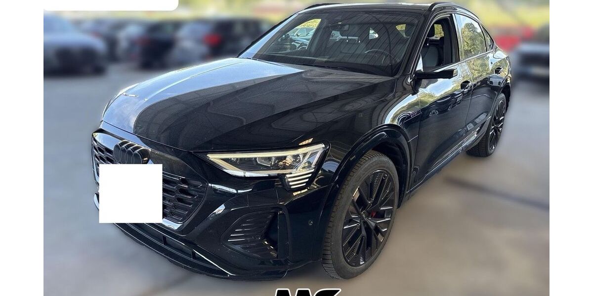 Audi Q8 e-tron 73.000 km 45.450 &euro; Steinbach-Hallenberg OT Herges-Hallenberg 98587