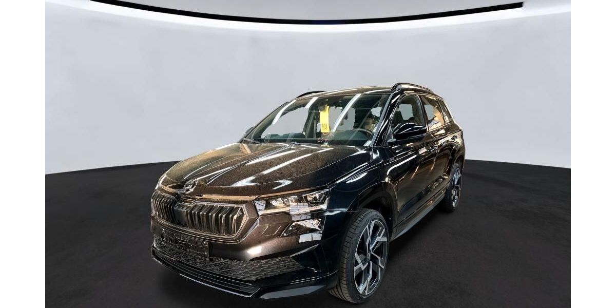 Skoda Karoq 24.363 km 31.995 &euro; Döbern 03159
