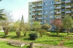 Etagenwohnung Gera Debschwitz - 1 Zimmer, 29 m&sup2;, 215&euro; | Angebot:26181163