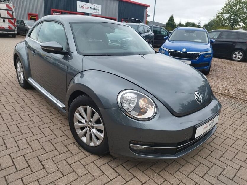 Beetle