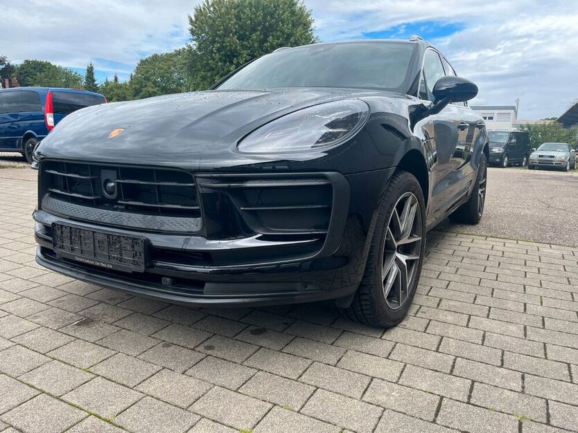 Macan