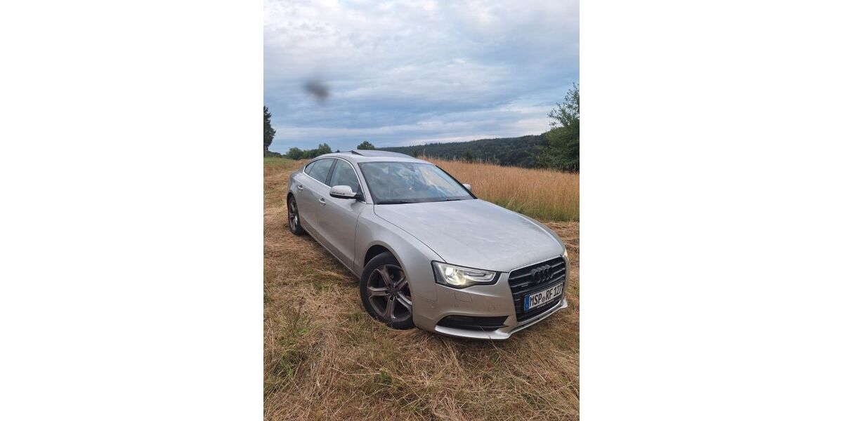 Audi A5 126.000 km 13.500 &euro; Frammersbach 97833