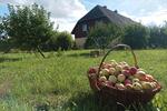 Einfamilienhaus Penzlin - 6 Zimmer, 159 m&sup2;, 249.000&euro; | Angebot:27113877