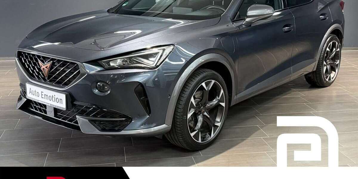 Cupra Formentor 154.883 km 17.255 &euro; Offenbach 63069