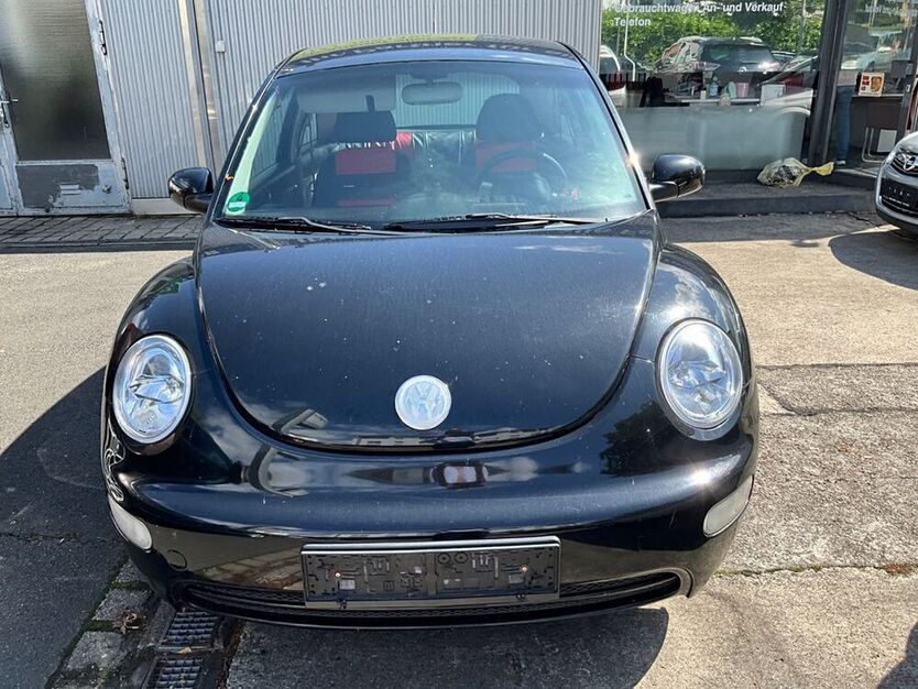 Beetle