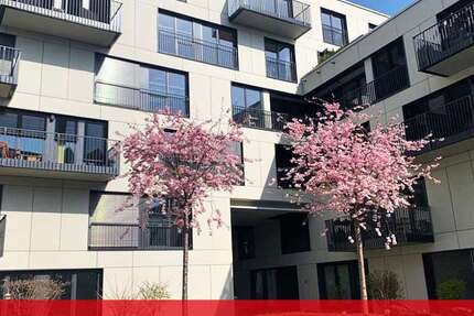 Wohnung zum Mieten in Aachen 388 € 24.25 m²