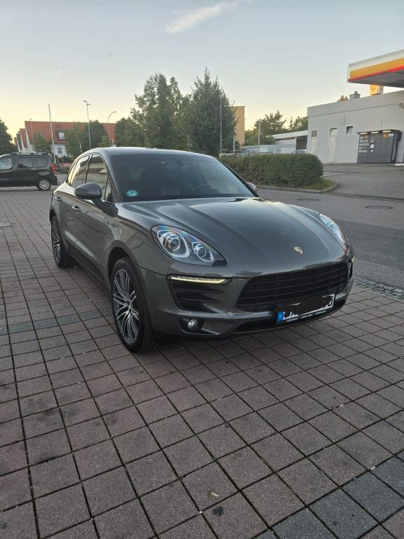 Macan