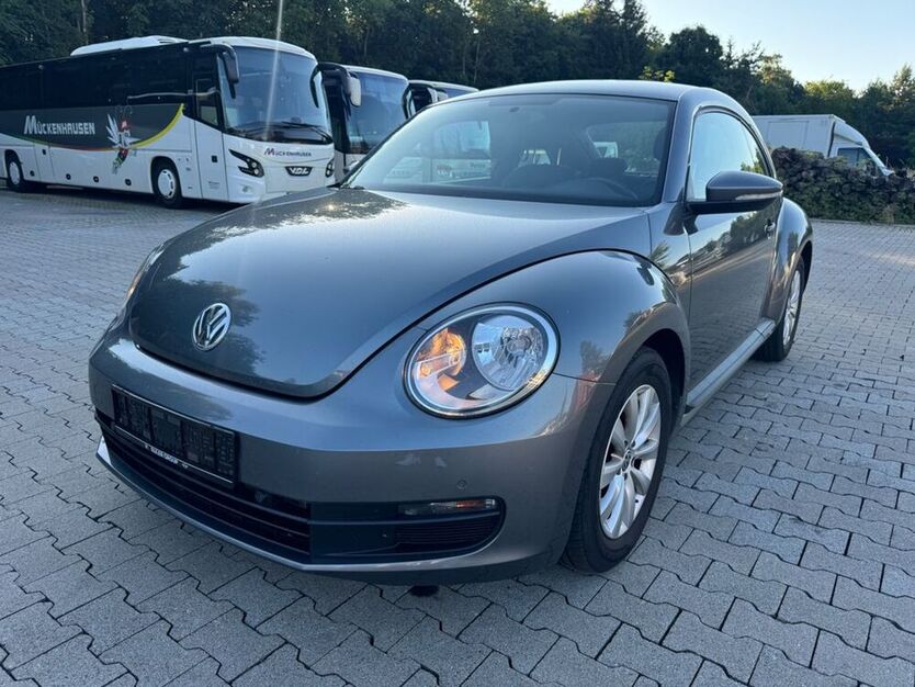 Beetle