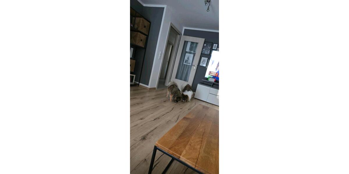 Dachgeschoßwohnung Wallersdorf - 3 Zimmer, 90 m&sup2;, 850&euro; | Angebot:25759676