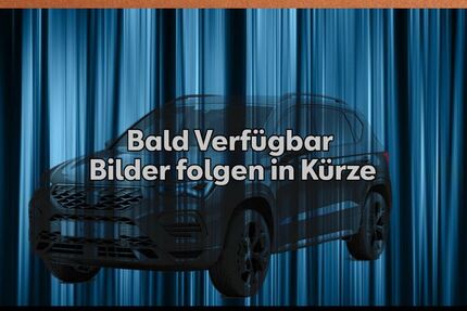 Seat Ibiza 20.000 km 19.990 &euro; Eisleben 06295