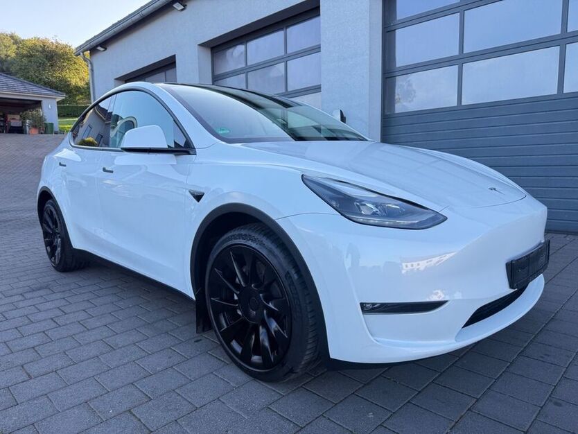 Model Y