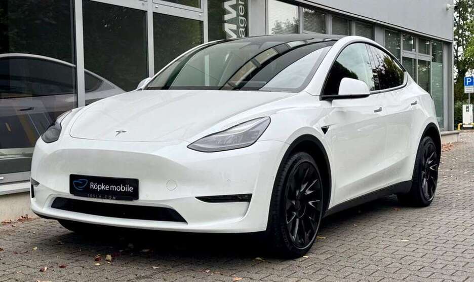 Model Y