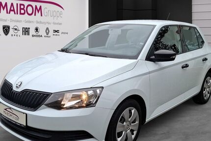 Skoda Fabia 135.300 km 6.900 € Kevelaer 47623