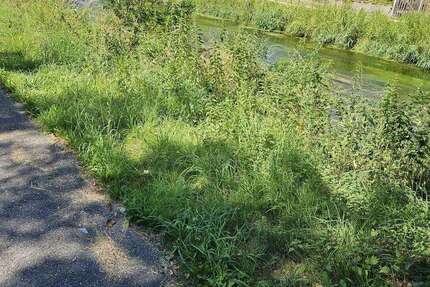 Grundstück Veringenstadt - 90.000&euro; | Angebot:25311340