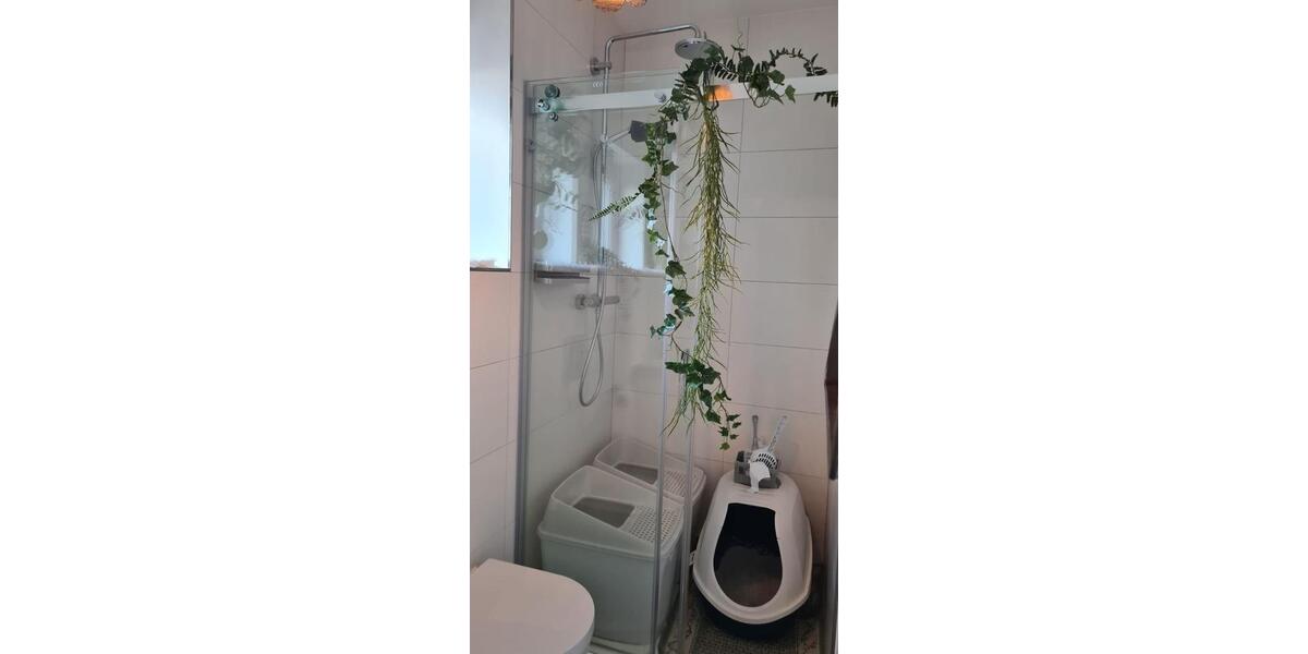 Einfamilienhaus Rehburg-Loccum Loccum - 4 Zimmer, 136 m&sup2;, 1.200&euro; | Angebot:24511214