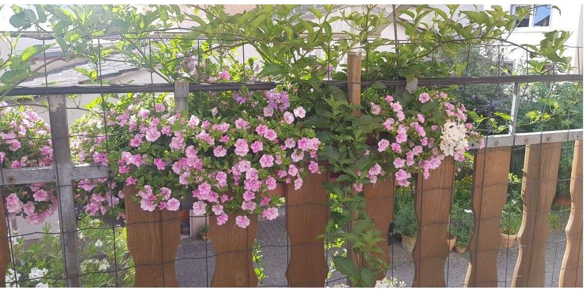 Einfamilienhaus Mülheim-Kärlich Mülheim - 5 Zimmer, 121 m&sup2;, 349.000&euro; | Angebot:25899009