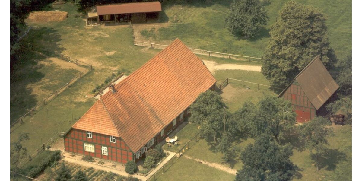 Historischer Niedersachsen- Bauernhof in Fachwerk mit Pferdeboxen u. tollen Eichenbaumbestand - Gewerbeobjekt Diepenau | Angebot:25594889
