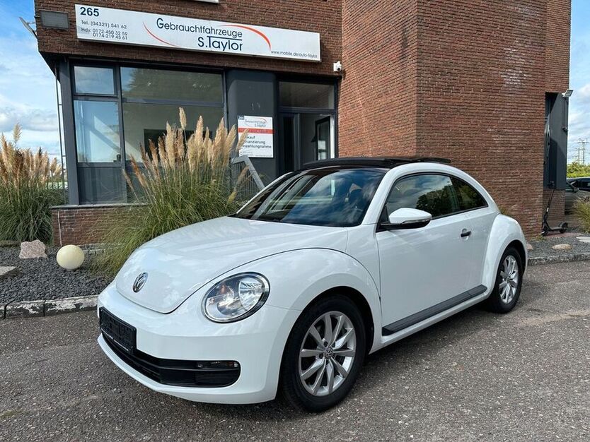 Beetle