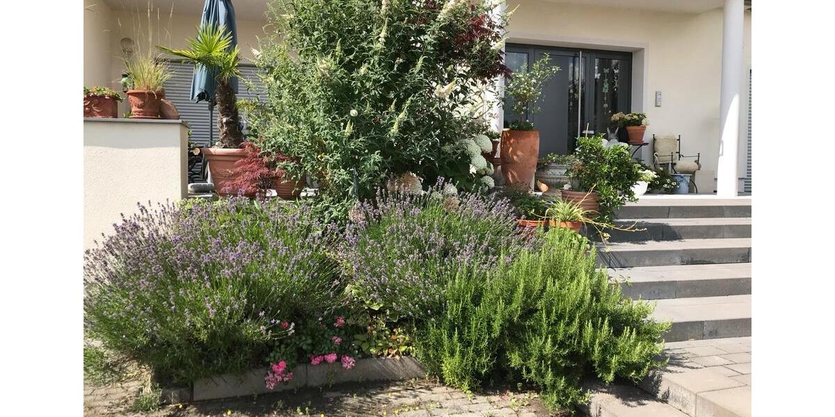 Erdgeschoßwohnung Nackenheim - 3 Zimmer, 144 m&sup2;, 695.000&euro; | Angebot:26639287