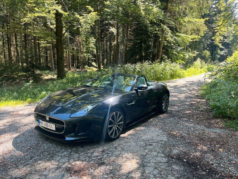 F-Type