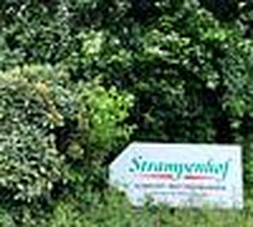 Komfort-2 Zi.-Whg. im Park (Strampenhof) - Zentrum von Bad Bevensen