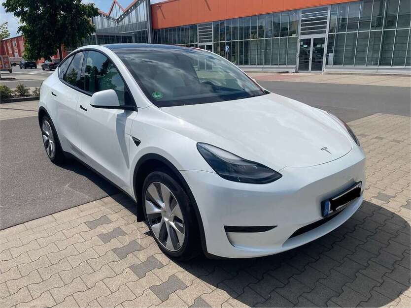 Model Y
