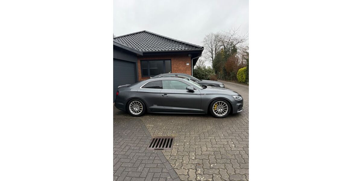 Audi A5 250.000 km 15.999 &euro; Lüneburg 21337