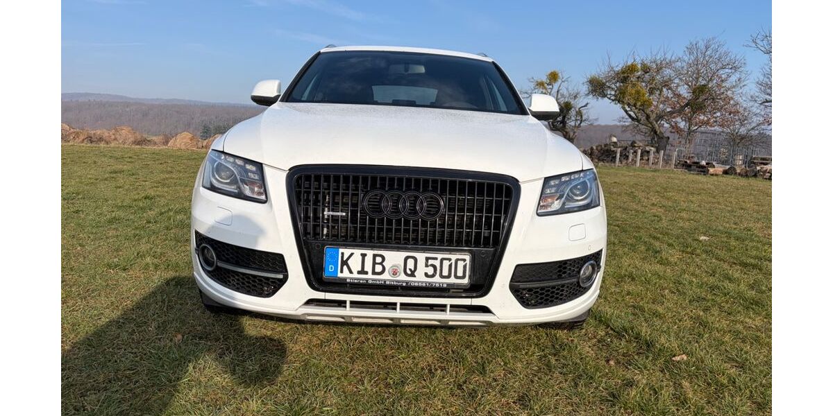 Audi Q5 185.000 km 11.000 &euro; Dannenfels 67814