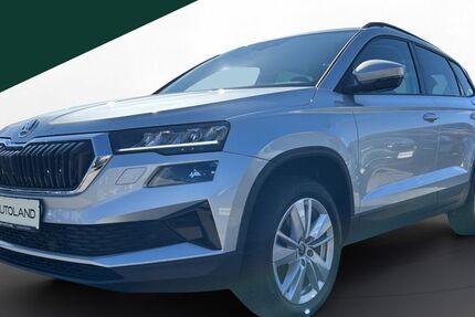 Skoda Karoq 19.506 km 28.320 &euro; Regen 94209