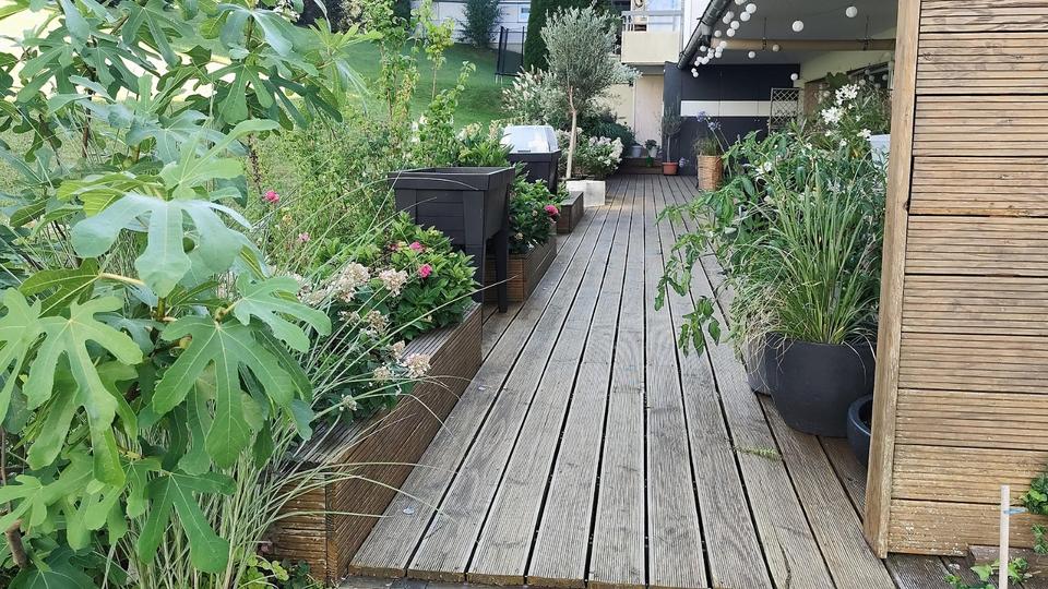 Erdgeschoßwohnung Freudenstadt - 4 Zimmer, 175 m&sup2;, 405.000&euro; | Angebot:26216108