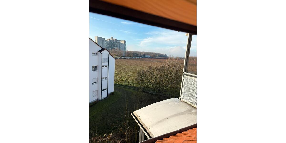 Dachgeschoßwohnung Worms Nördliche Vororte - 1 Zimmer, 19 m&sup2;, 580&euro; | Angebot:24881328