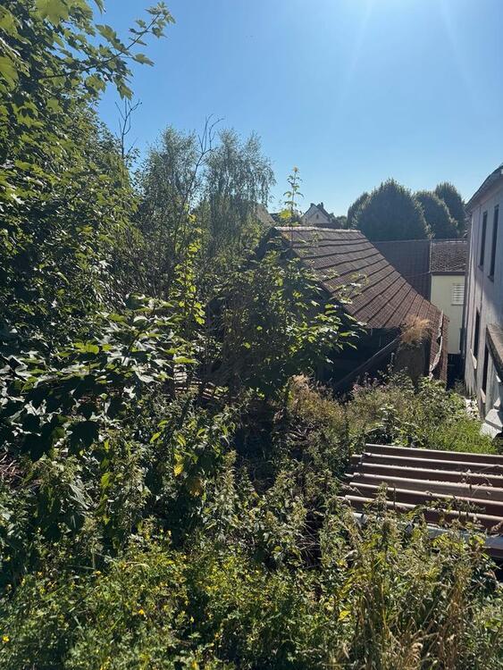 Haus mit Grundstück im Südharz 06536
