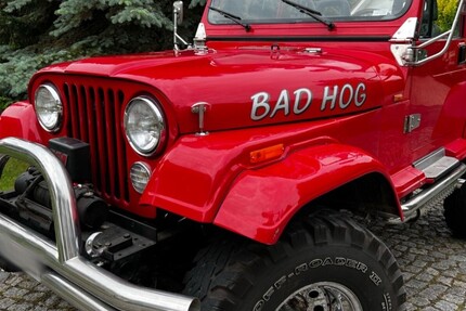 Jeep Wrangler 56.000 km 29.900 € Zeitz 06712