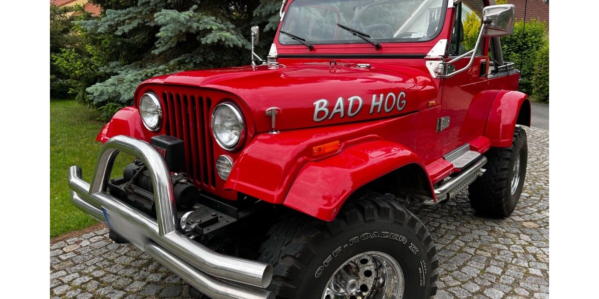 Jeep Wrangler 56.000 km 29.900 € Zeitz 06712