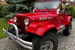 Jeep Wrangler 56.000 km 29.900 € Zeitz 06712