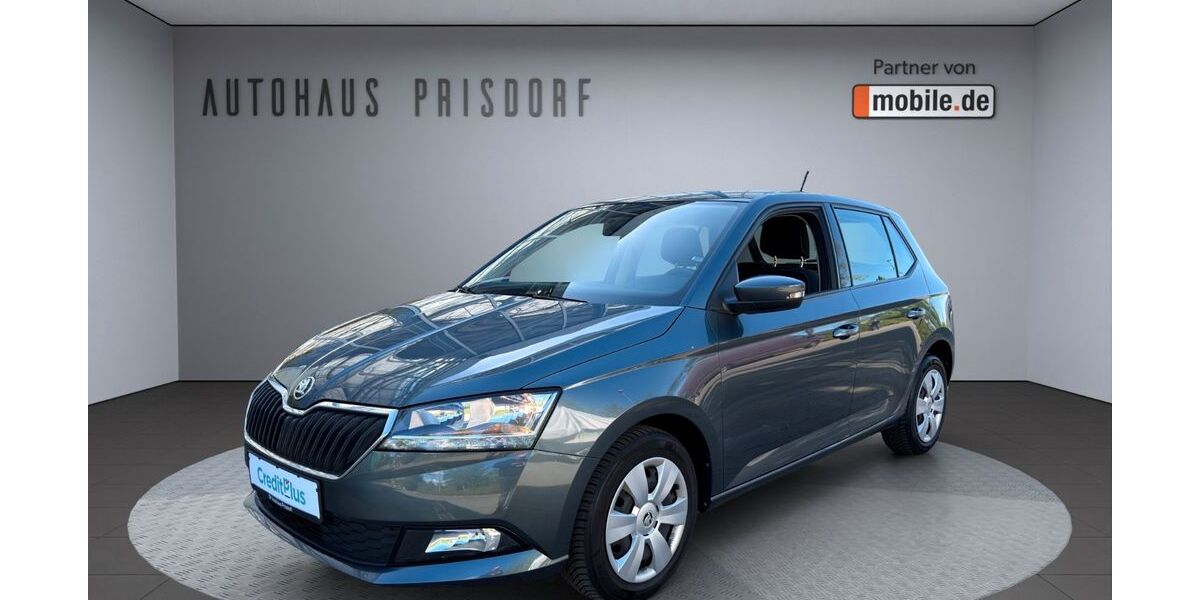 Skoda Fabia 38.921 km 13.950 &euro; Prisdorf bei Hamburg 25497