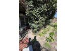 Grundstück Darmstadt - 90&euro; | Angebot:26383617