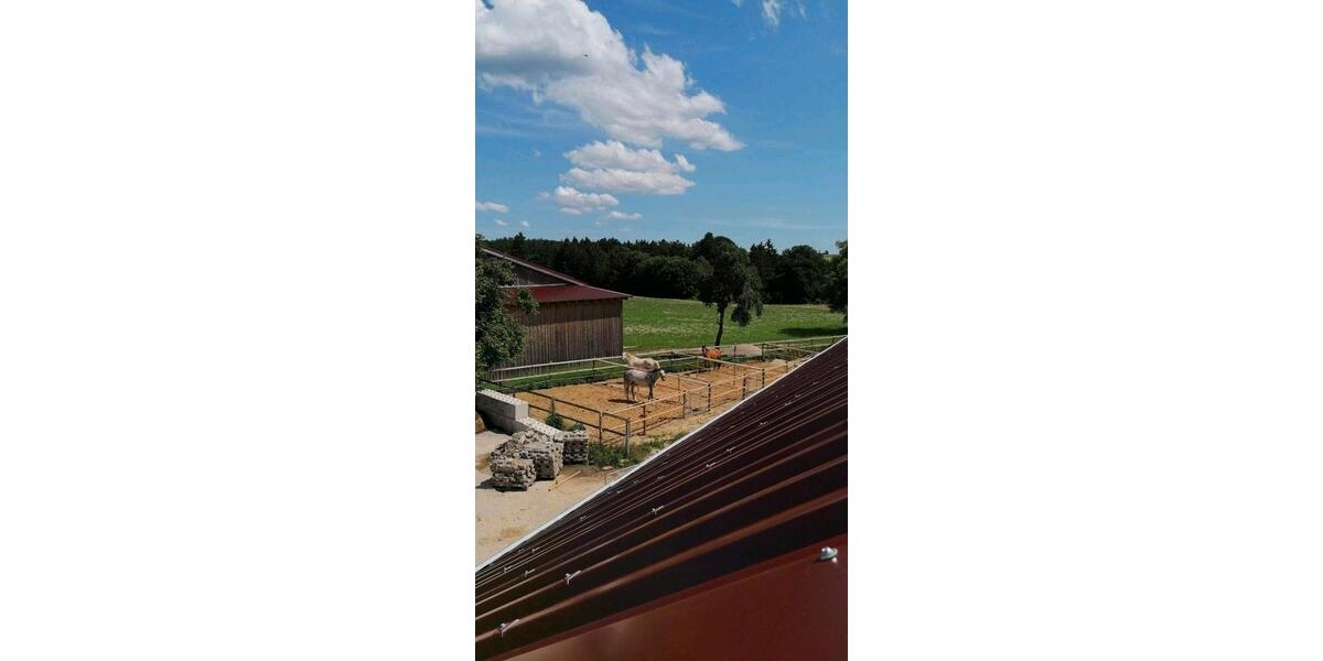 Einfamilienhaus Breitenbrunn - 6 Zimmer, 193 m&sup2;, 1.050.000&euro; | Angebot:26973805