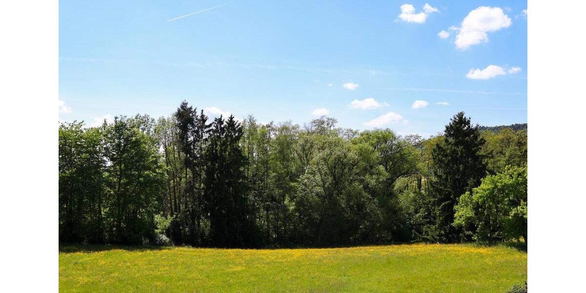 Einfamilienhaus Schweich - 3 Zimmer, 99 m&sup2;, 459.000&euro; | Angebot:26609027