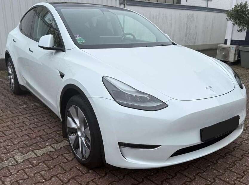 Model Y