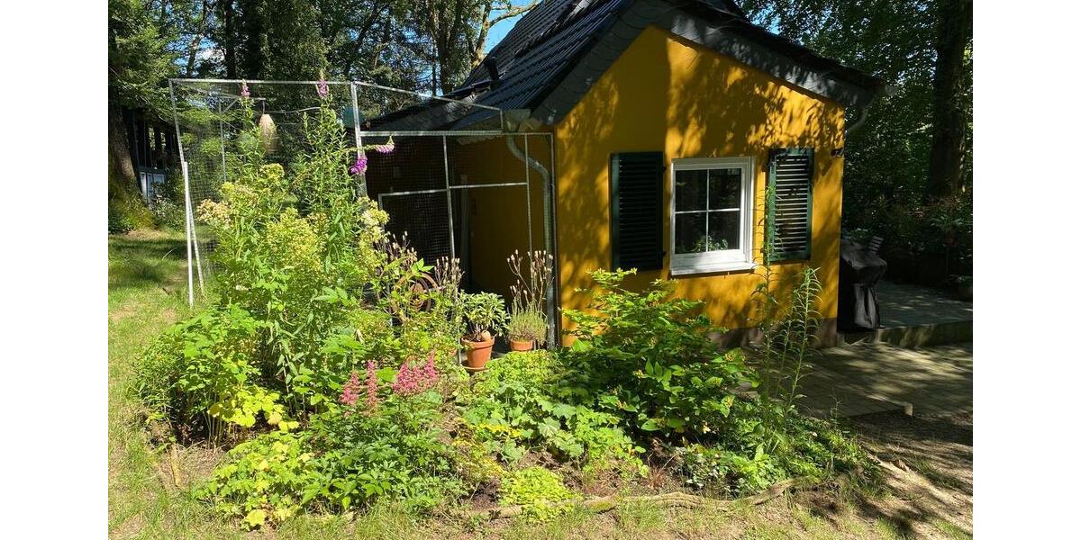 Einfamilienhaus Much - 3 Zimmer, 100 m&sup2;, 1.250&euro; | Angebot:26337718