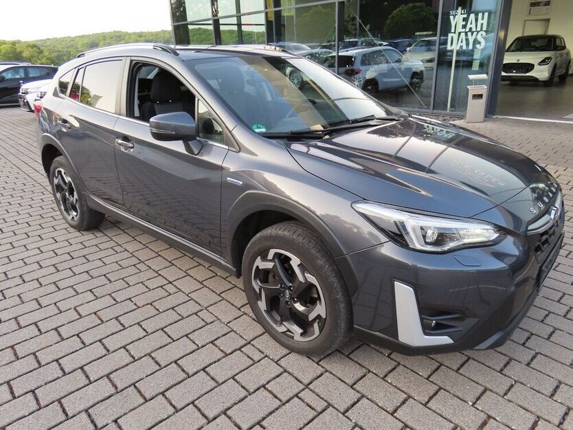 XV