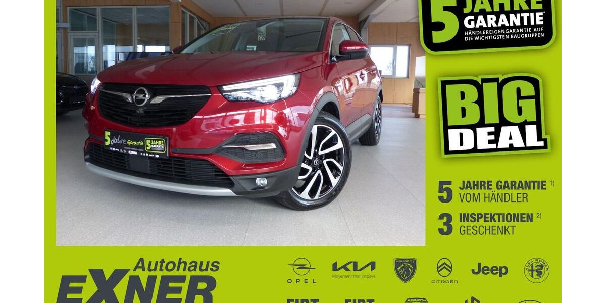 Opel Grandland (X) 113.606 km 10.999 &euro; Hof 95032