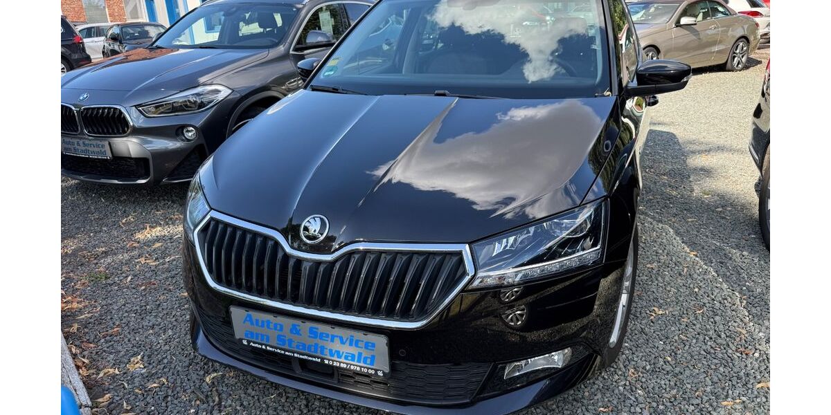 Skoda Fabia 31.599 km 14.500 &euro; Werne 59368