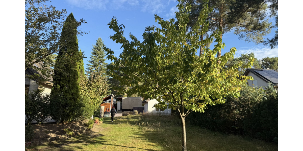 Grundstück Königs Wusterhausen Kablow - 89.000&euro; | Angebot:26407455