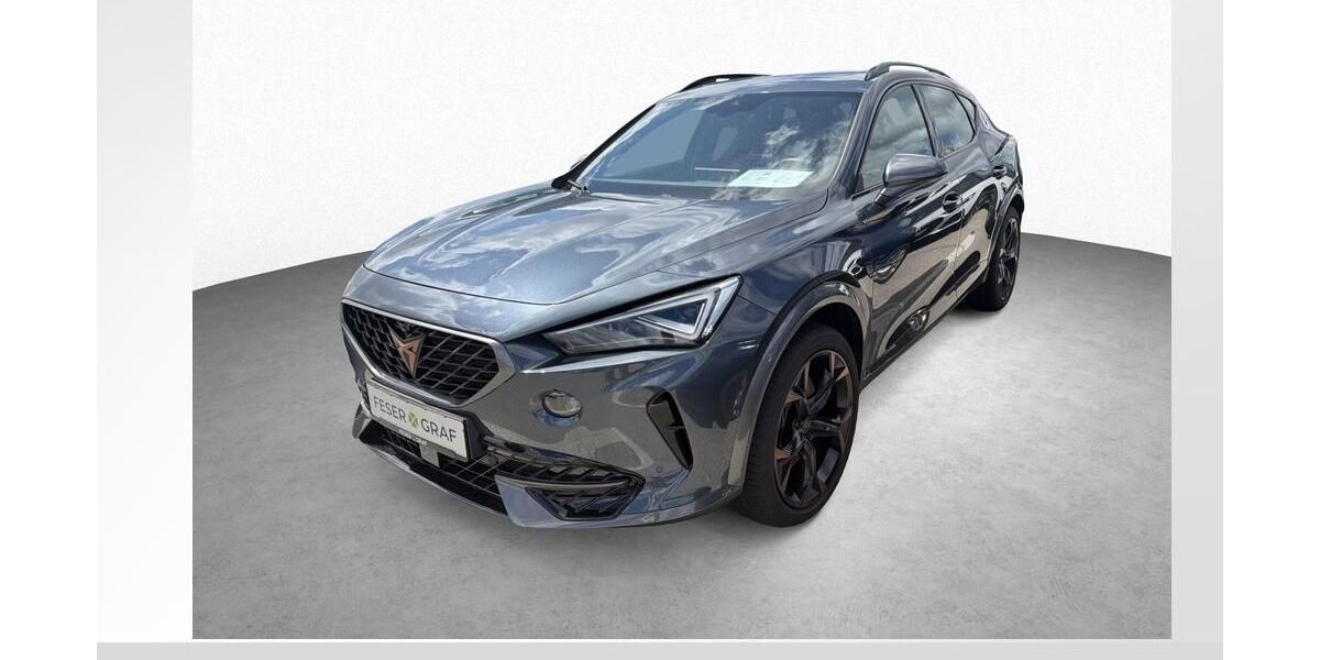 Cupra Formentor 32.100 km 31.890 &euro; Burgoberbach 91595