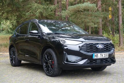 Ford Kuga 1.300 km 41.900 &euro; Neubrandenburg 17033