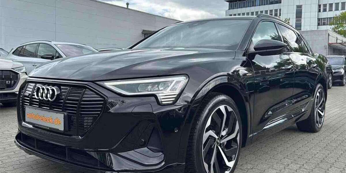 Audi e-tron 55.404 km 35.950 &euro; Hamburg 22047