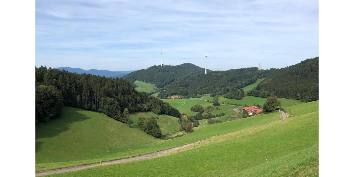 Einfamilienhaus Steinen - 5 Zimmer, 118 m&sup2;, 595.000&euro; | Angebot:26677798